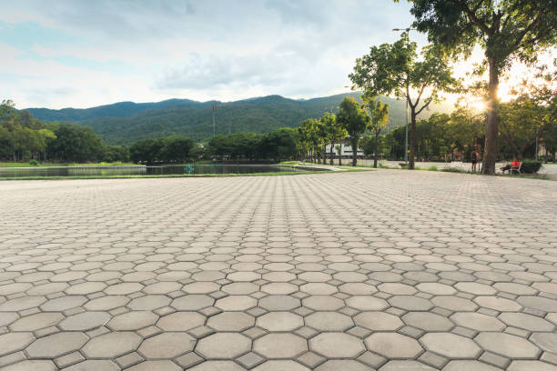 Best Commercial Driveway Pavers  in Elkton, VA